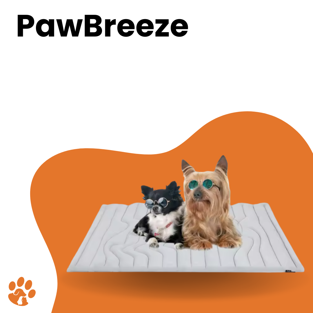 TapiTopia⢠PawBreeze